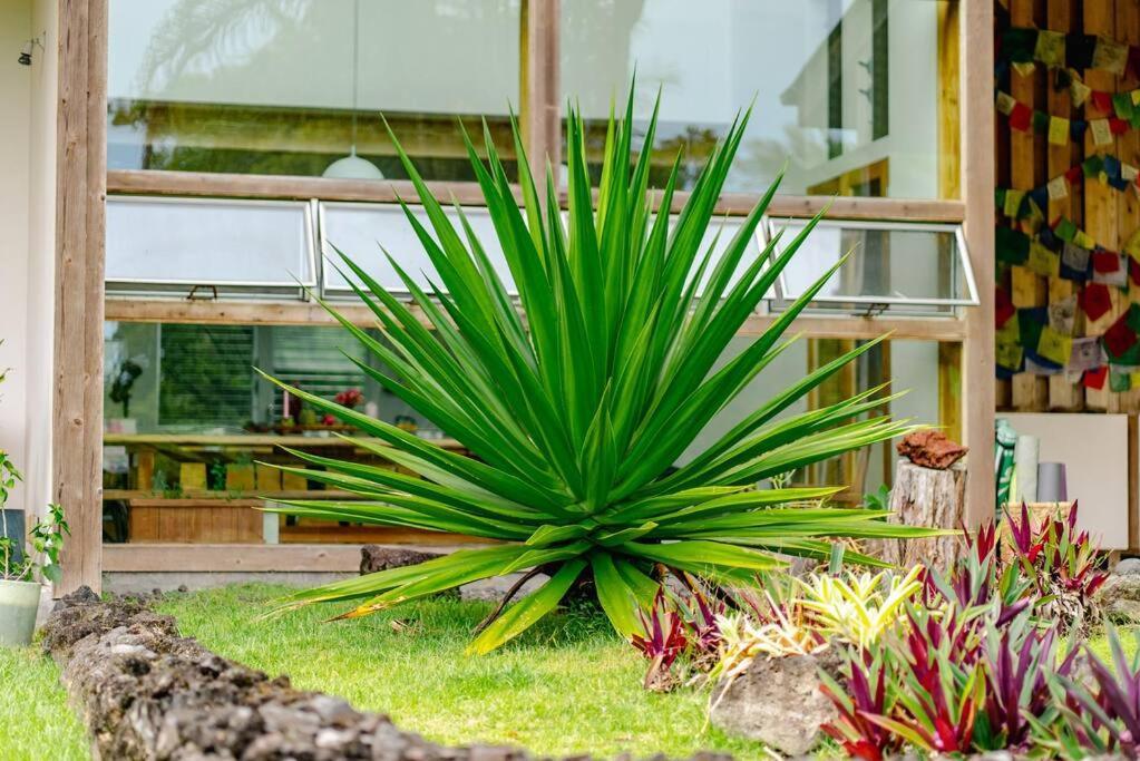Jungle Haven Ocean Front Eco On Fruit Farm Villa Pahoa