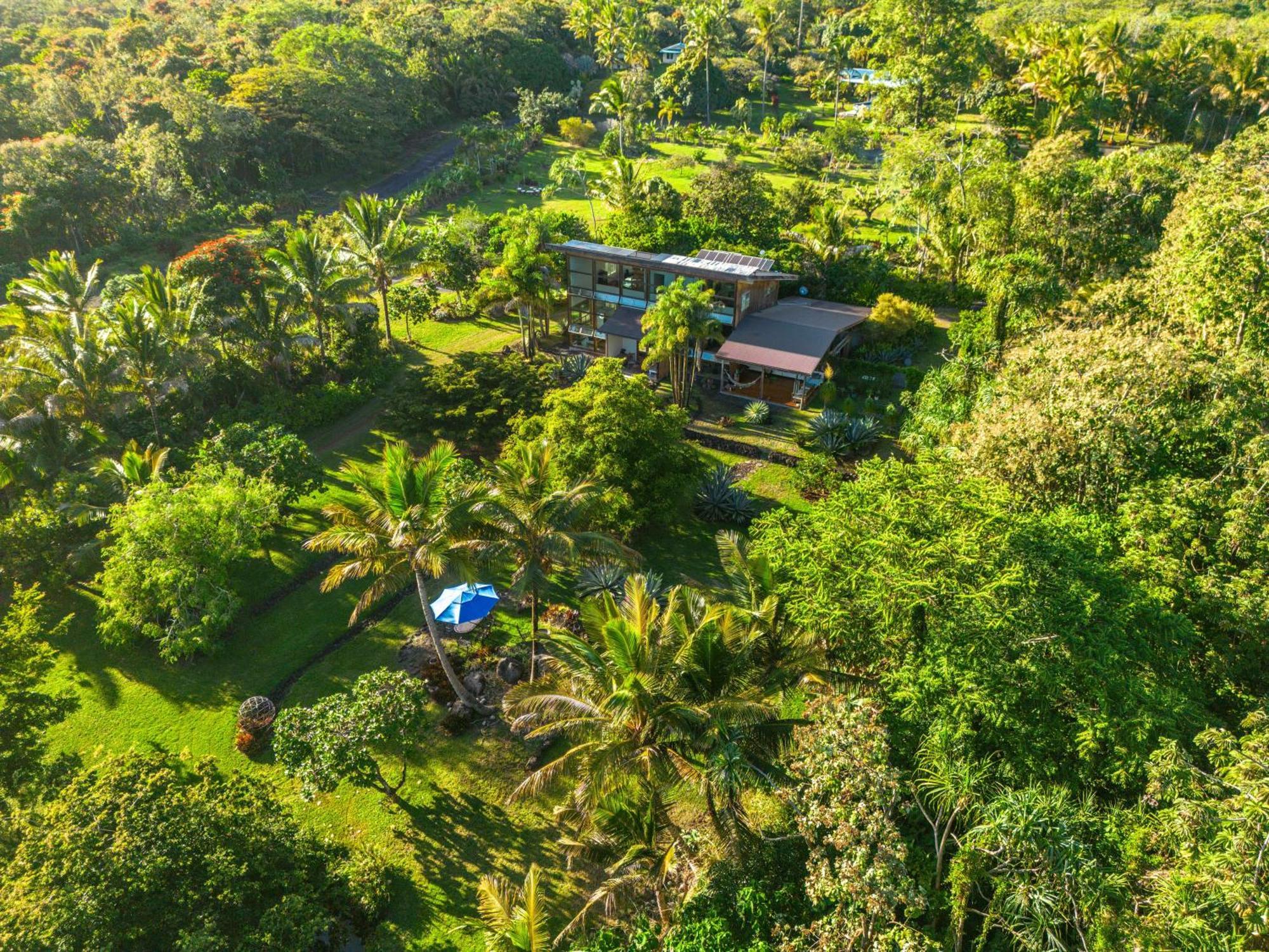 Villa Jungle Haven Ocean Front Eco On Fruit Farm Pahoa