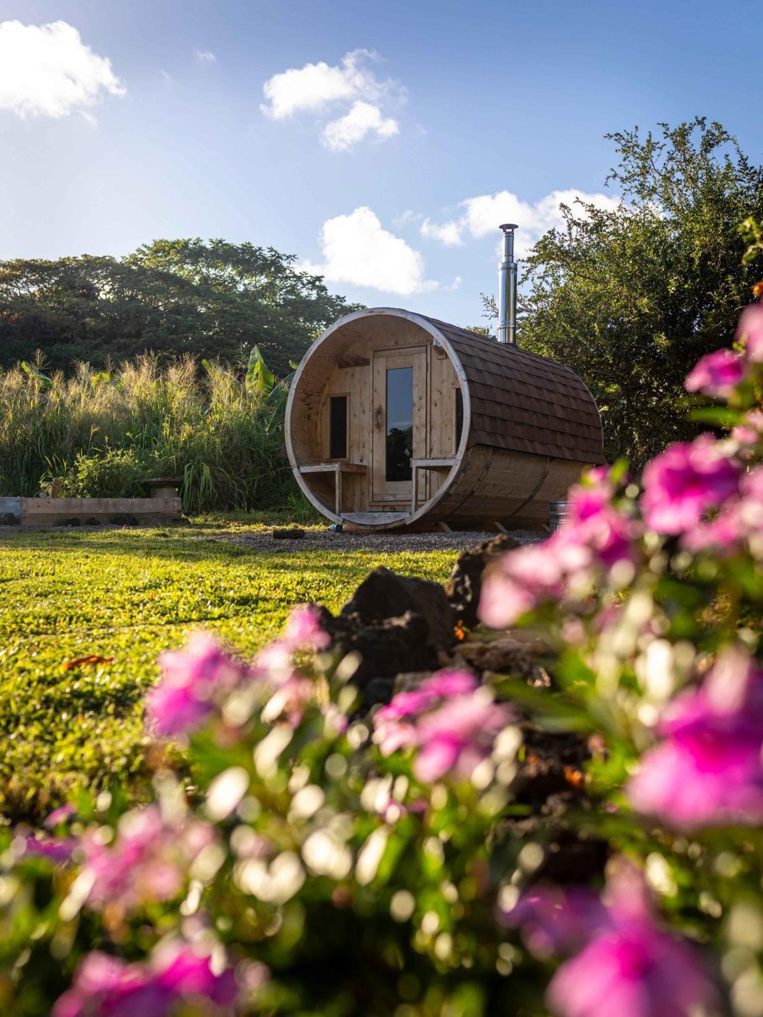 Jungle Haven Ocean Front Eco On Fruit Farm Pahoa