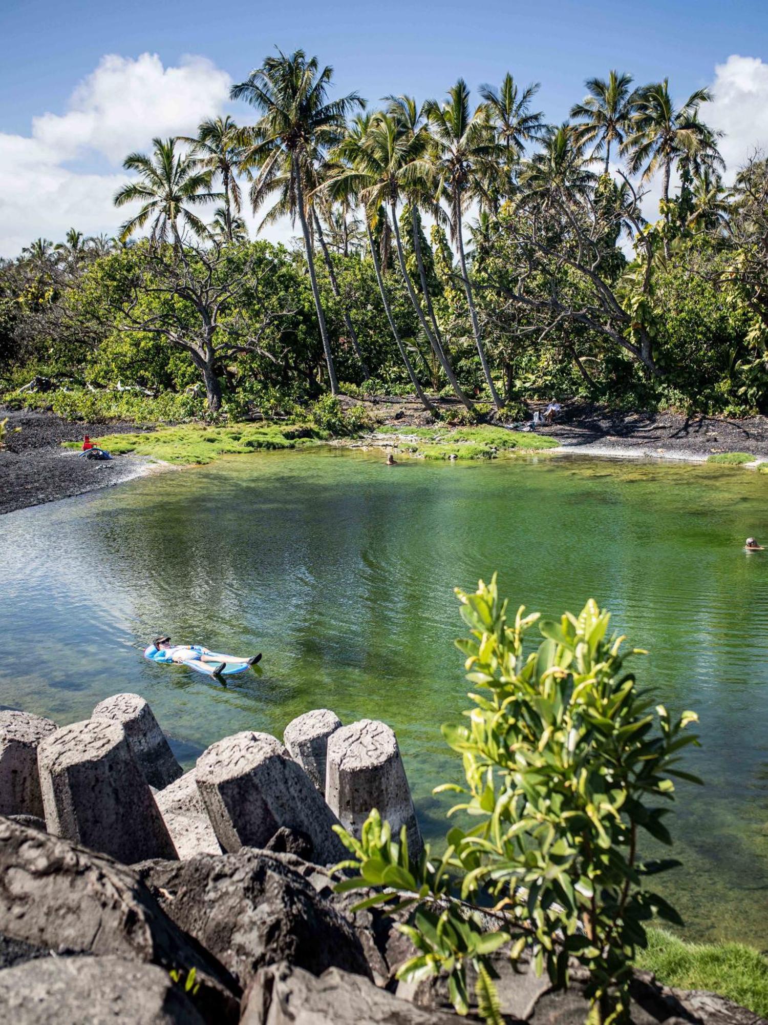 Villa Jungle Haven Ocean Front Eco On Fruit Farm Pahoa